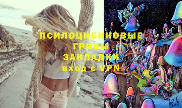 mdma Дмитровск
