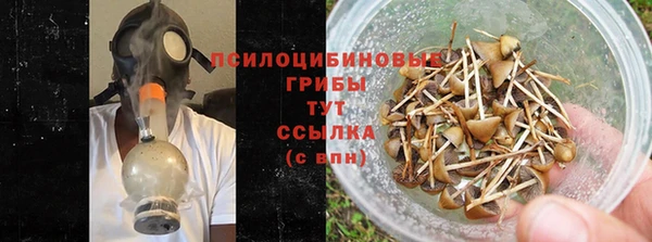 mdma Дмитровск