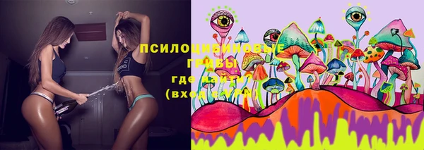 меф Дмитров